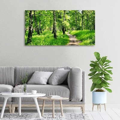 Canvas wall art Birch forest