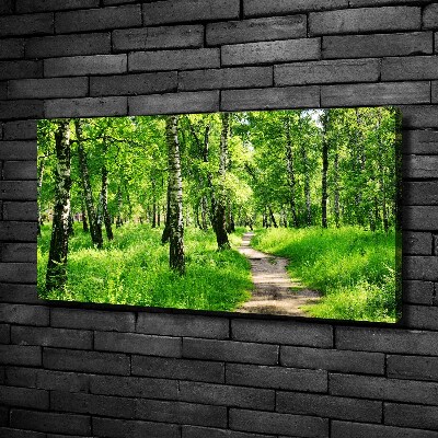 Canvas wall art Birch forest