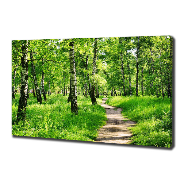 Canvas wall art Birch forest