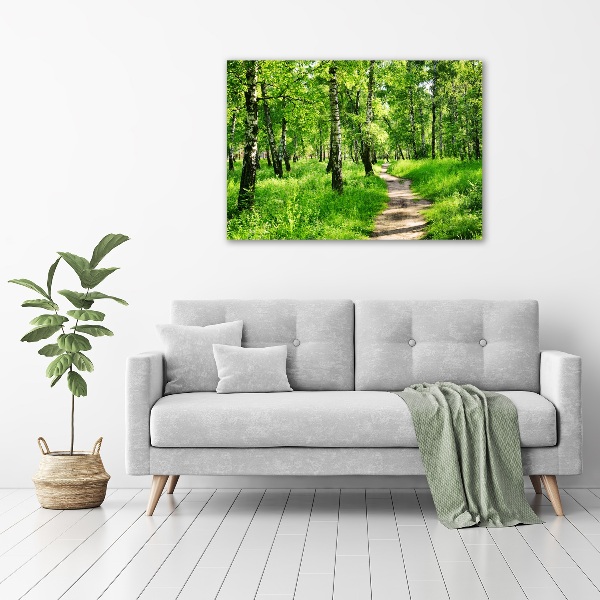 Canvas wall art Birch forest