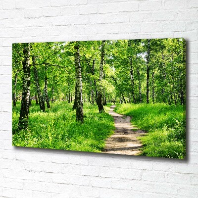 Canvas wall art Birch forest