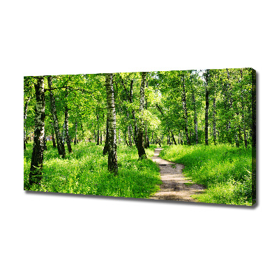 Canvas wall art Birch forest