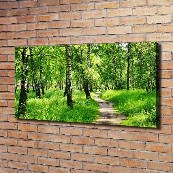 Canvas wall art Birch forest