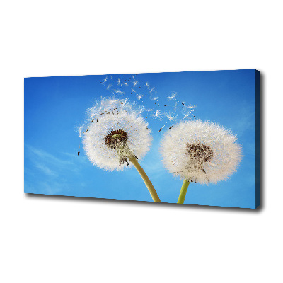 Canvas wall art dandelions