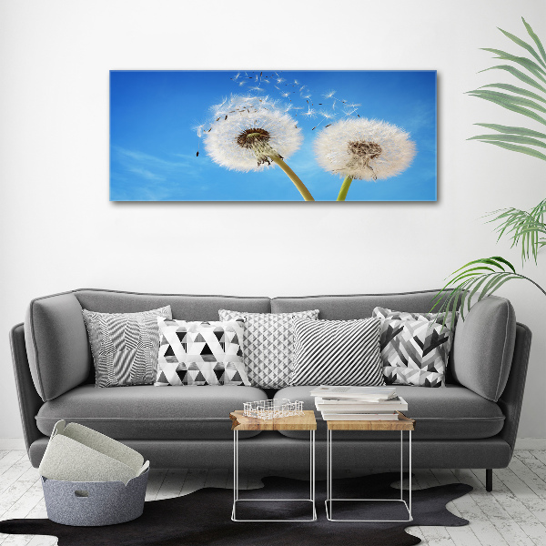 Canvas wall art dandelions