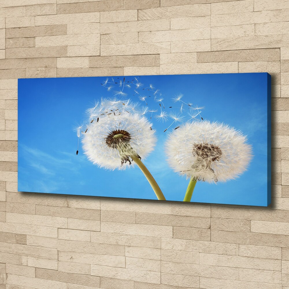 Canvas wall art dandelions