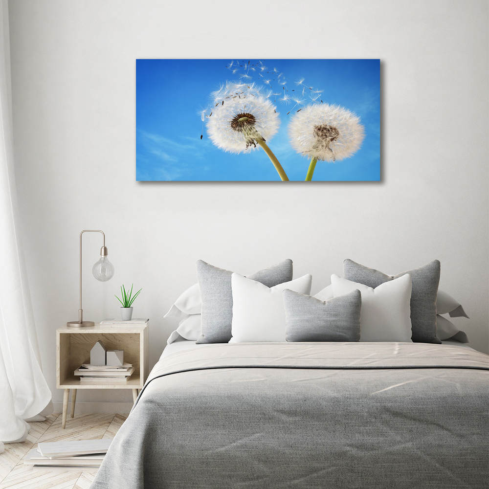 Canvas wall art dandelions