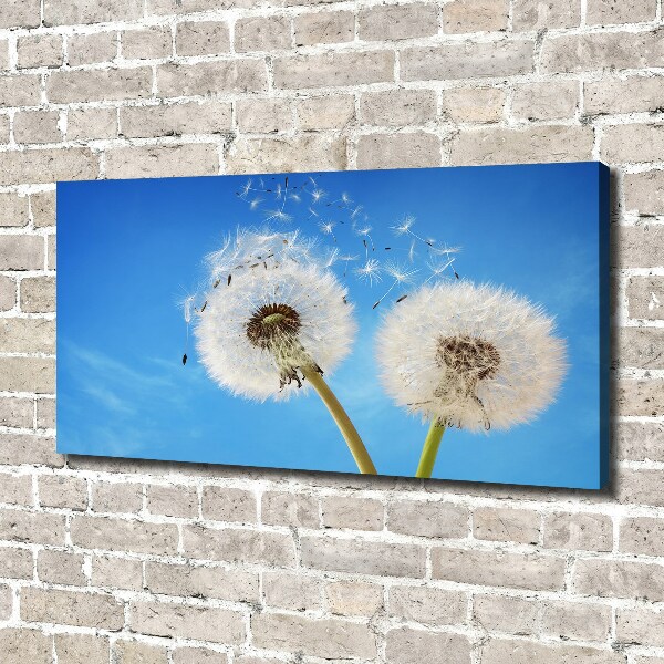 Canvas wall art dandelions