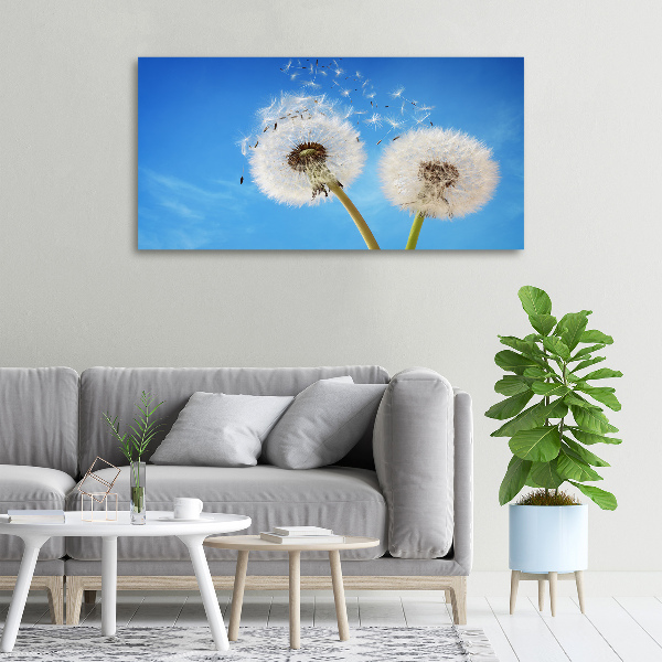 Canvas wall art dandelions