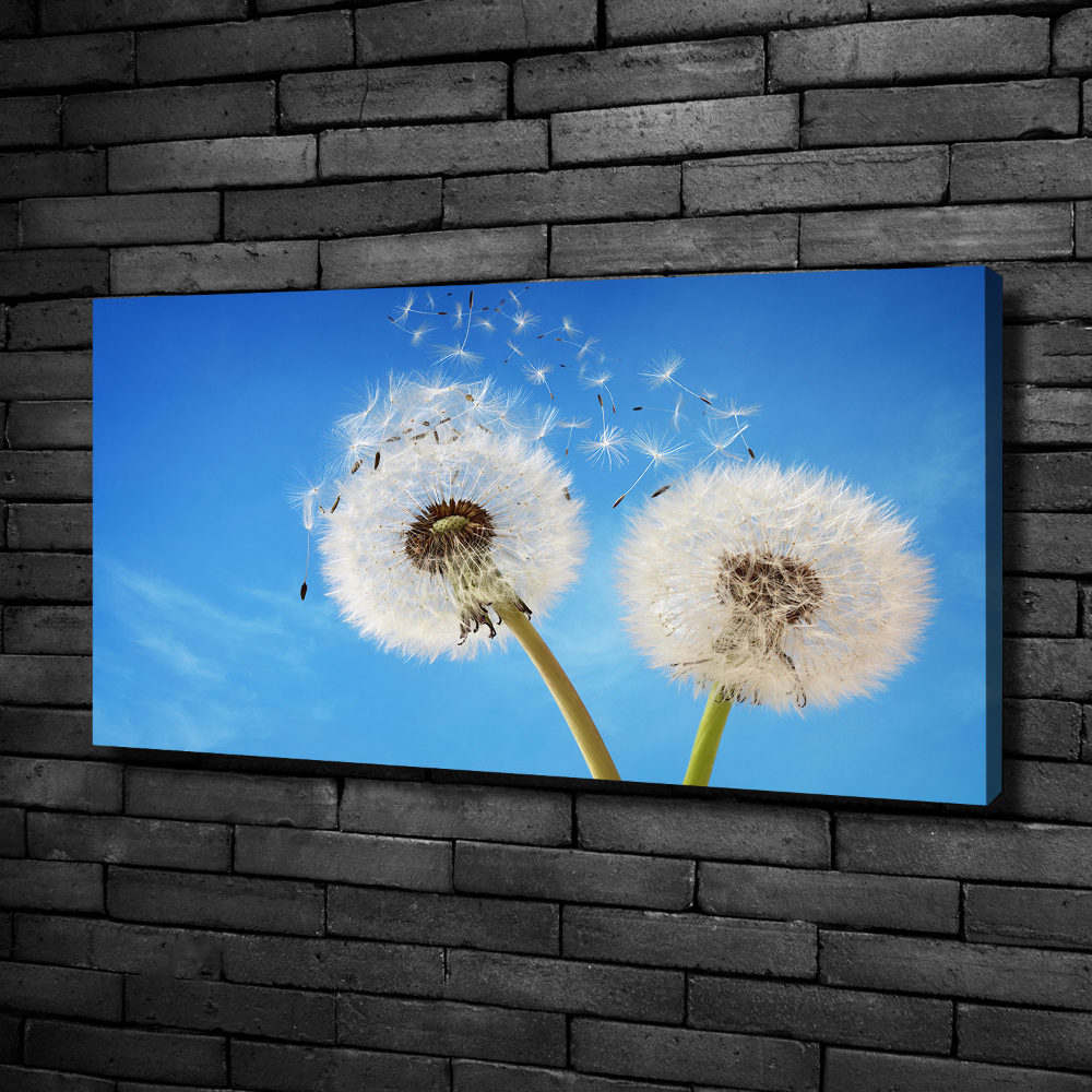 Canvas wall art dandelions