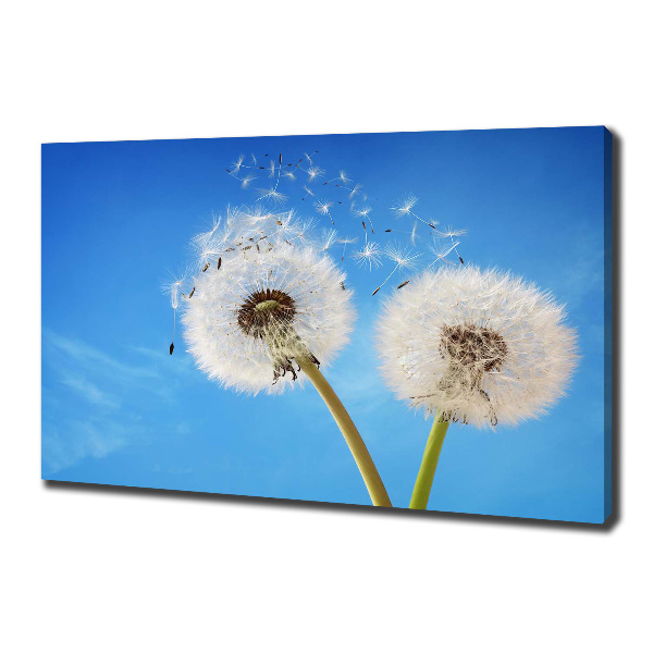 Canvas wall art dandelions