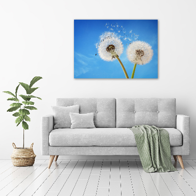 Canvas wall art dandelions