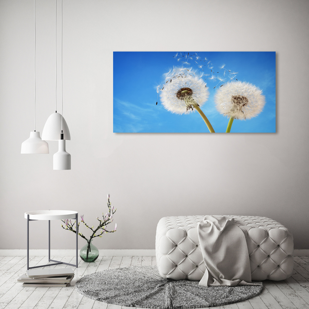 Canvas wall art dandelions