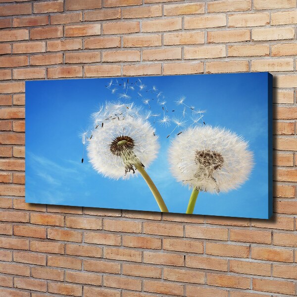 Canvas wall art dandelions