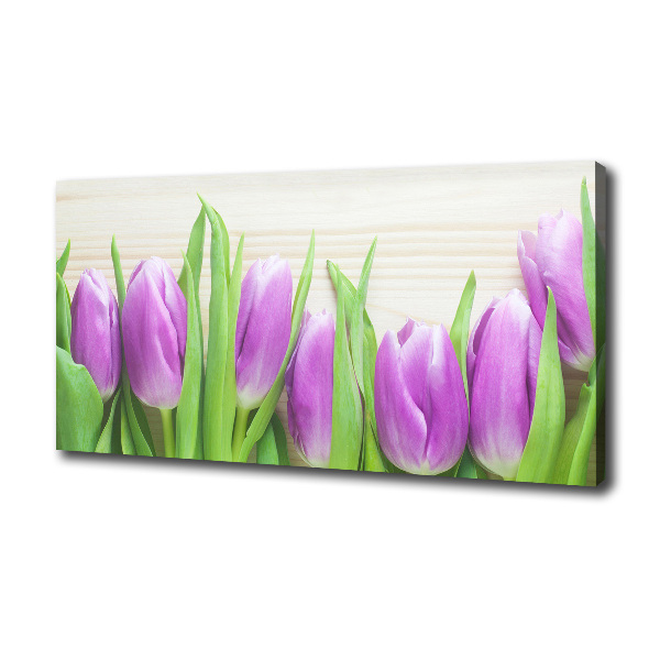 Violet tulips