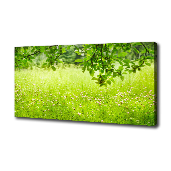 Canvas wall art Green meadow