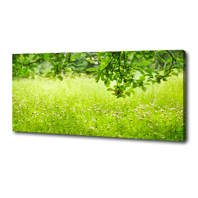 Canvas wall art Green meadow