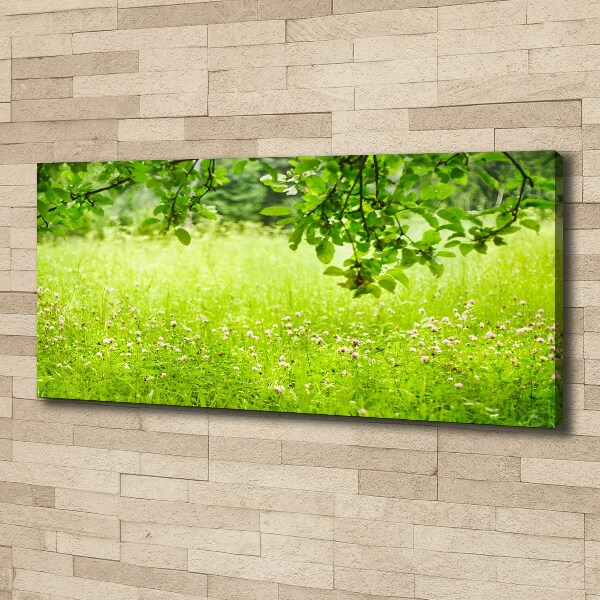 Canvas wall art Green meadow