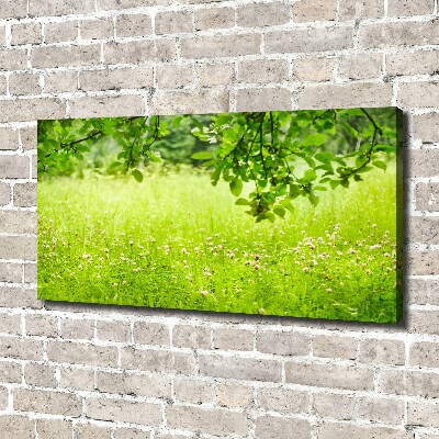 Canvas wall art Green meadow