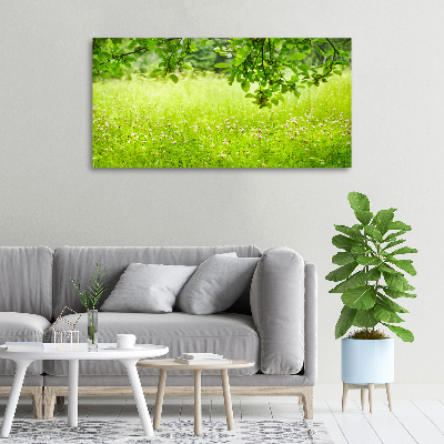 Canvas wall art Green meadow