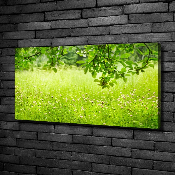 Canvas wall art Green meadow