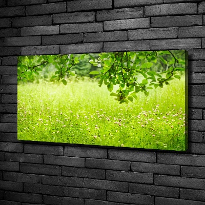 Canvas wall art Green meadow