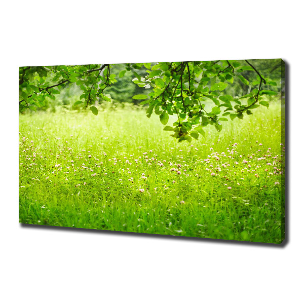 Canvas wall art Green meadow