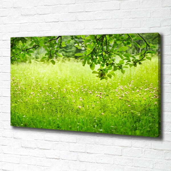 Canvas wall art Green meadow