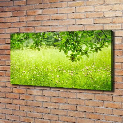 Canvas wall art Green meadow