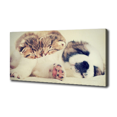 Canvas wall art Two cats and a dog