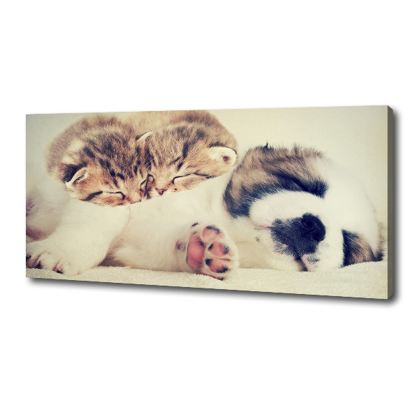 Canvas wall art Two cats and a dog