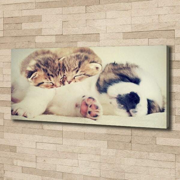 Canvas wall art Two cats and a dog