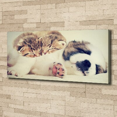 Canvas wall art Two cats and a dog