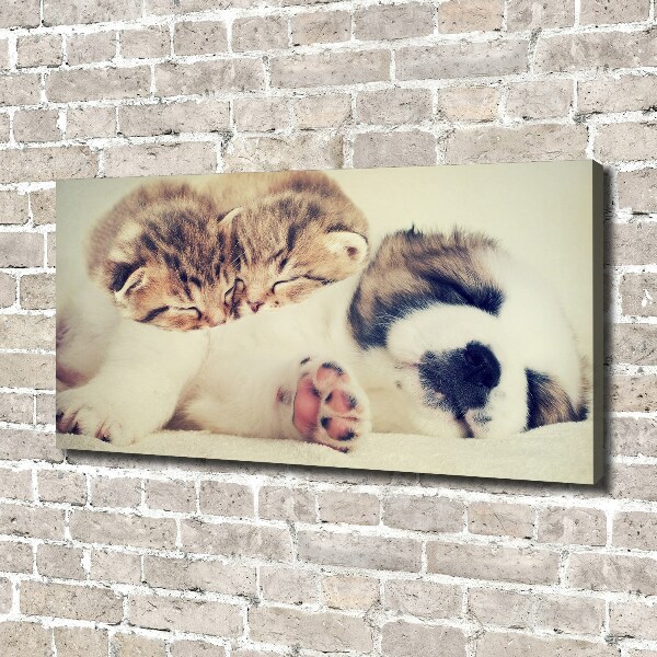 Canvas wall art Two cats and a dog