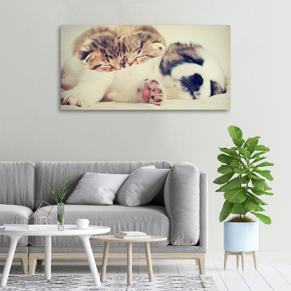 Canvas wall art Two cats and a dog