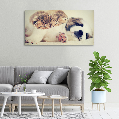 Canvas wall art Two cats and a dog