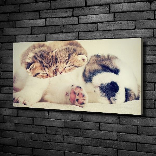 Canvas wall art Two cats and a dog