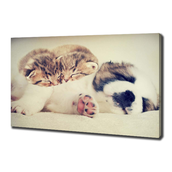 Canvas wall art Two cats and a dog