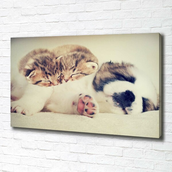 Canvas wall art Two cats and a dog