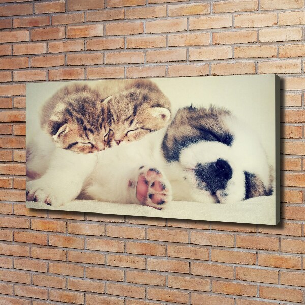 Canvas wall art Two cats and a dog