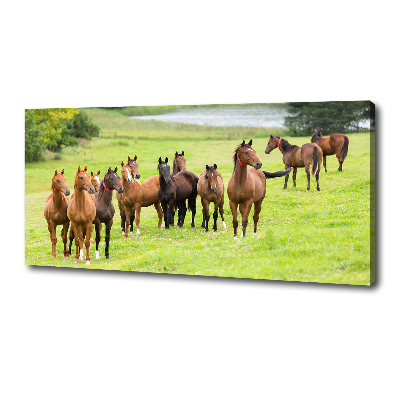 Canvas wall art A herd of horses in the meadow