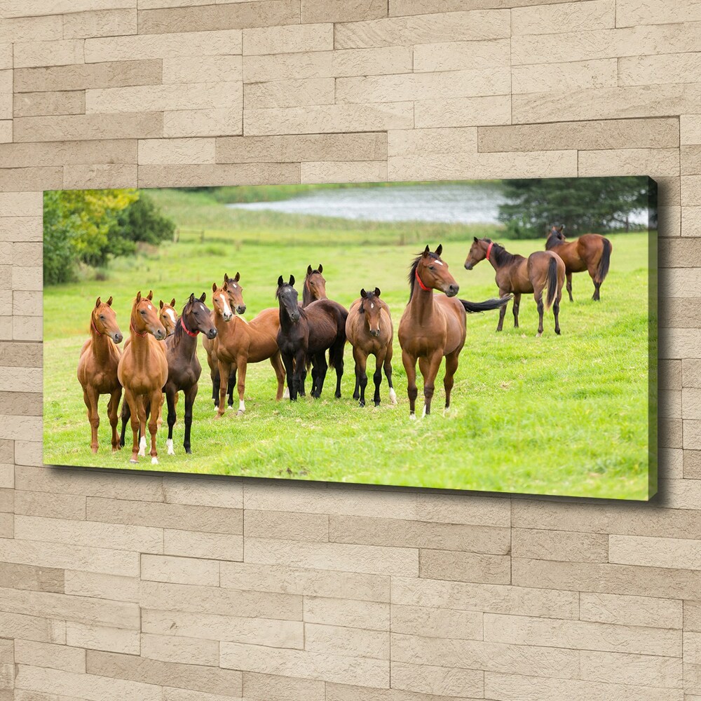 Canvas wall art A herd of horses in the meadow