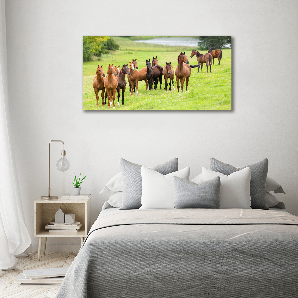 Canvas wall art A herd of horses in the meadow