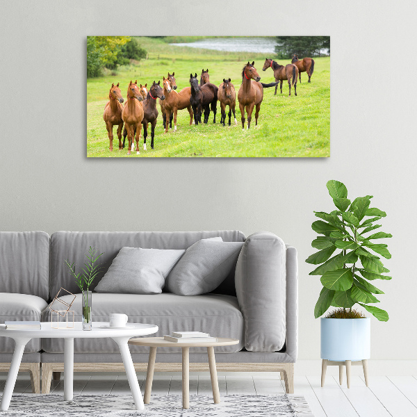 Canvas wall art A herd of horses in the meadow