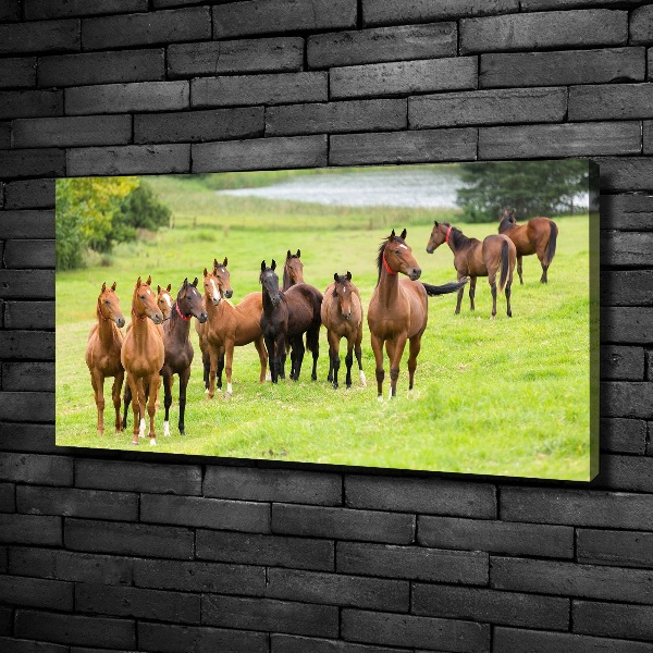 Canvas wall art A herd of horses in the meadow