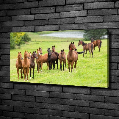 Canvas wall art A herd of horses in the meadow