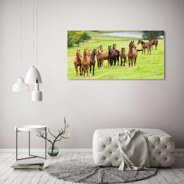 Canvas wall art A herd of horses in the meadow