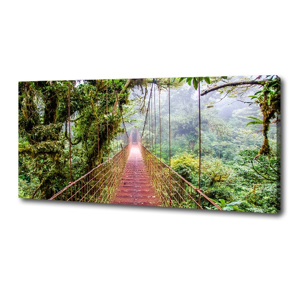 Canvas wall art Bridge in the tropics