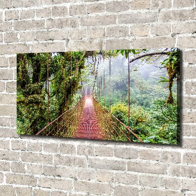 Canvas wall art Bridge in the tropics