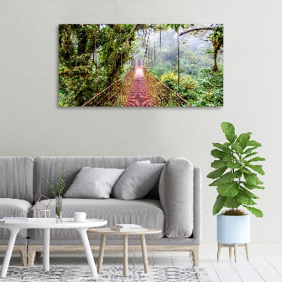 Canvas wall art Bridge in the tropics